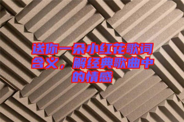 送你一朵小紅花歌詞含義，解經(jīng)典歌曲中的情感