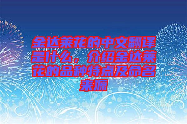 金達(dá)萊花的中文翻譯是什么，介紹金達(dá)萊花的品種特點及命名來源