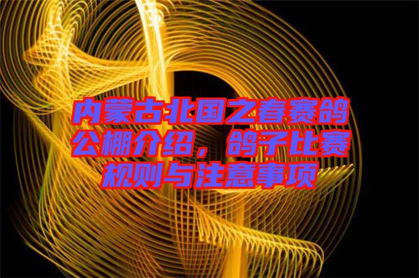 內(nèi)蒙古北國之春賽鴿公棚介紹，鴿子比賽規(guī)則與注意事項(xiàng)
