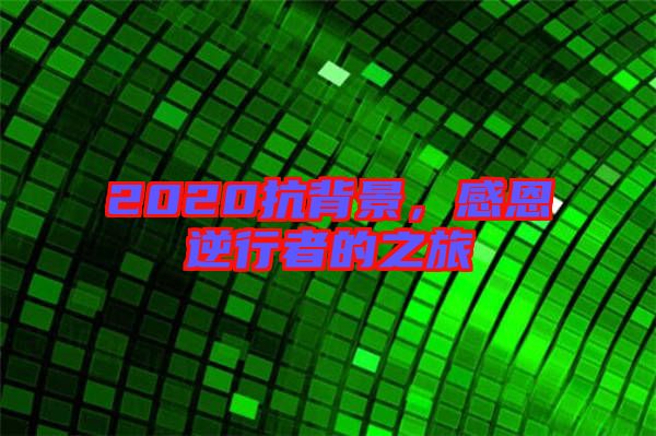 2020抗背景，感恩逆行者的之旅