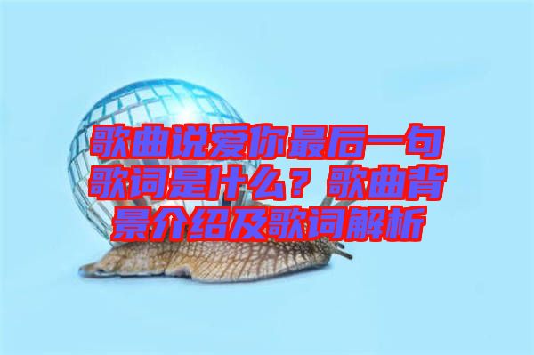 歌曲說愛你最后一句歌詞是什么？歌曲背景介紹及歌詞解析