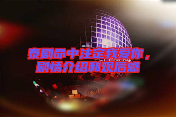 泰劇命中注定我愛你，劇情介紹和觀后感