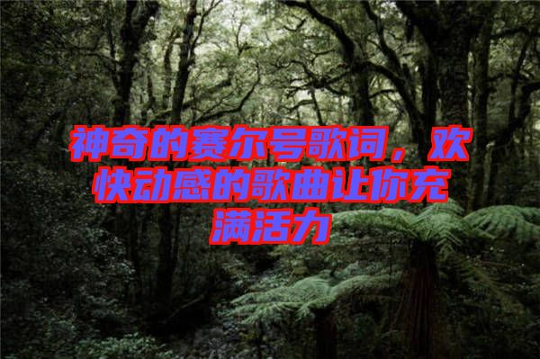 神奇的賽爾號歌詞，歡快動感的歌曲讓你充滿活力