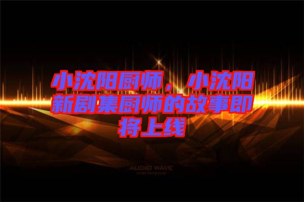 小沈陽廚師，小沈陽新劇集廚師的故事即將上線