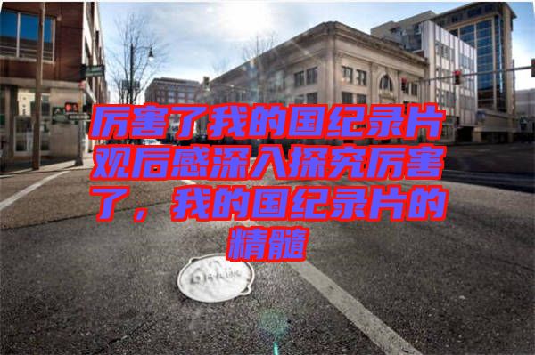 厲害了我的國紀(jì)錄片觀后感深入探究厲害了，我的國紀(jì)錄片的精髓
