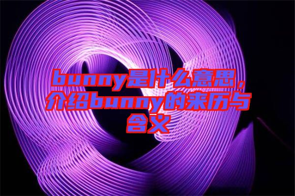 bunny是什么意思，介紹bunny的來歷與含義