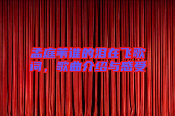 孟庭葦誰的淚在飛歌詞，歌曲介紹與感受