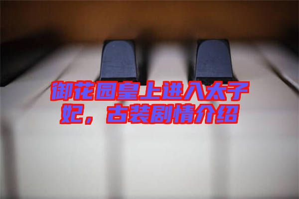 御花園皇上進入太子妃，古裝劇情介紹