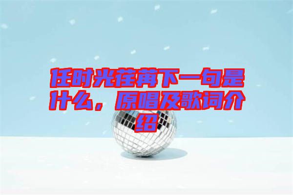 任時(shí)光荏苒下一句是什么，原唱及歌詞介紹