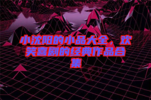 小沈陽(yáng)的小品大全，歡笑喜劇的經(jīng)典作品合集