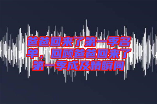 爸爸回來了第一季名單，回顧爸爸回來了第一季成及精瞬間