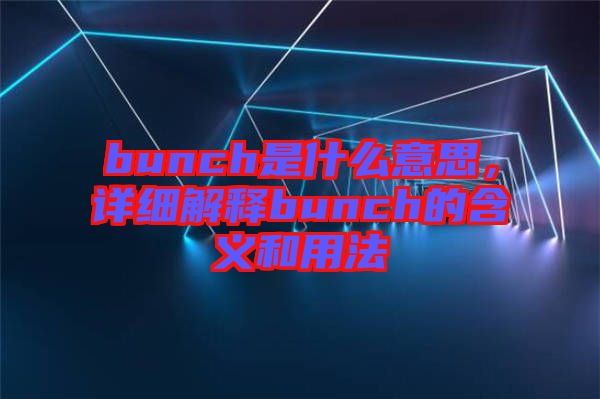 bunch是什么意思，詳細(xì)解釋bunch的含義和用法