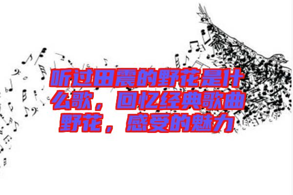 聽過田震的野花是什么歌，回憶經典歌曲野花，感受的魅力