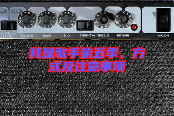 我是歌手第五季，方式及注意事項