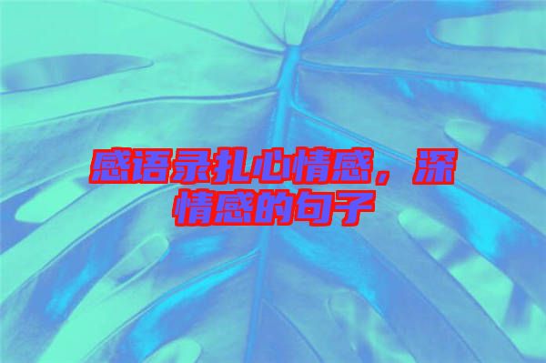 感語(yǔ)錄扎心情感，深情感的句子