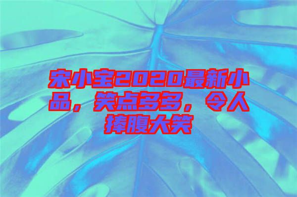 宋小寶2020最新小品，笑點(diǎn)多多，令人捧腹大笑