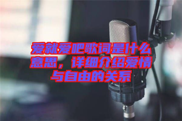 愛就愛吧歌詞是什么意思，詳細(xì)介紹愛情與自由的關(guān)系