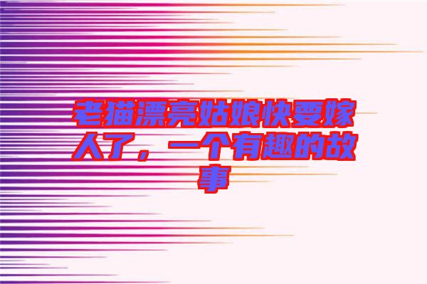 老貓漂亮姑娘快要嫁人了，一個有趣的故事