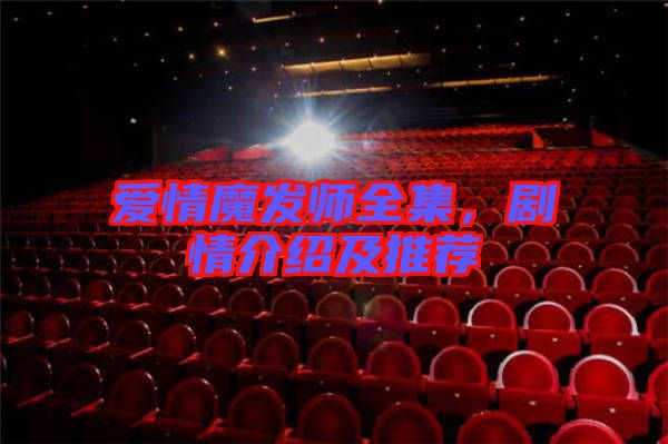 愛情魔發(fā)師全集，劇情介紹及推薦