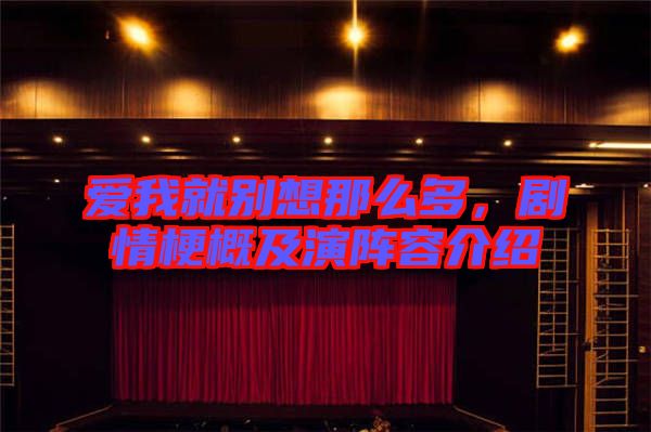 愛我就別想那么多，劇情梗概及演陣容介紹