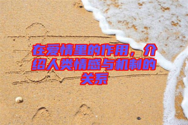 在愛(ài)情里的作用，介紹人類(lèi)情感與機(jī)制的關(guān)系