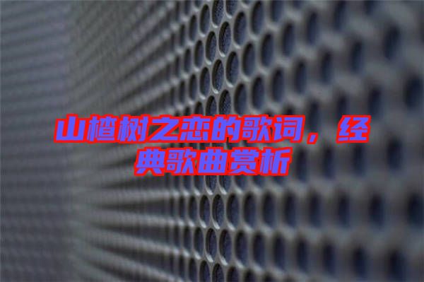 山楂樹(shù)之戀的歌詞，經(jīng)典歌曲賞析