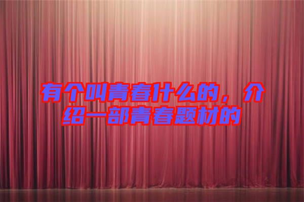 有個叫青春什么的，介紹一部青春題材的