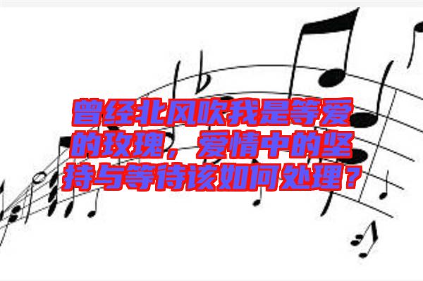 曾經(jīng)北風(fēng)吹我是等愛的玫瑰，愛情中的堅(jiān)持與等待該如何處理？