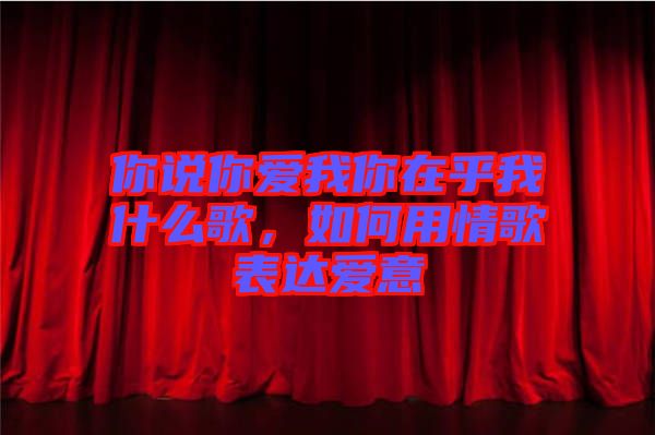 你說(shuō)你愛(ài)我你在乎我什么歌，如何用情歌表達(dá)愛(ài)意