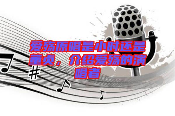 愛(ài)殤原唱是小時(shí)還是董貞，介紹愛(ài)殤的演唱者