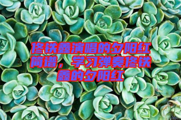 佟鐵鑫演唱的夕陽(yáng)紅簡(jiǎn)譜，學(xué)習(xí)彈奏佟鐵鑫的夕陽(yáng)紅