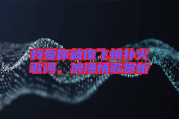我愛你就像飛蛾撲火歌詞，浪漫情歌賞析