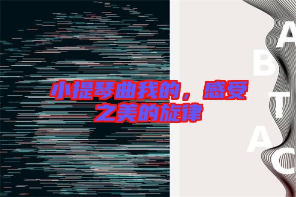小提琴曲我的，感受之美的旋律