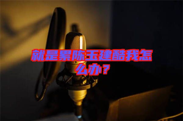 就是累陳玉建酷我怎么辦？