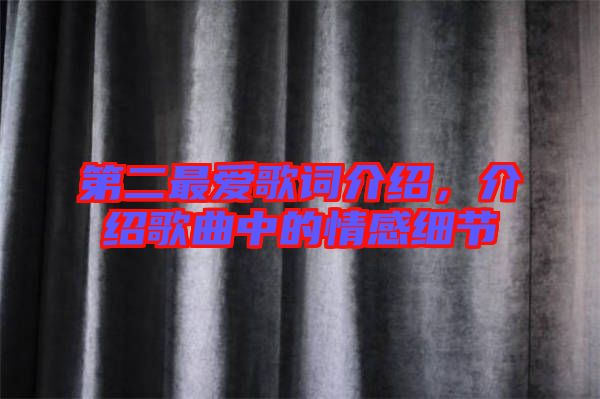 第二最愛歌詞介紹，介紹歌曲中的情感細(xì)節(jié)