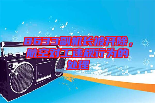 8633副機(jī)長被開除，航空對工違規(guī)行為的處理