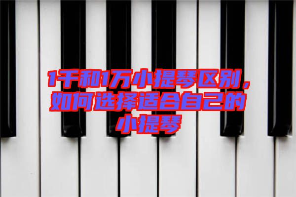1千和1萬小提琴區(qū)別，如何選擇適合自己的小提琴