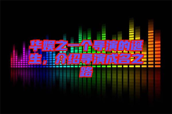 華娛之一個導(dǎo)演的誕生，介紹導(dǎo)演成名之路