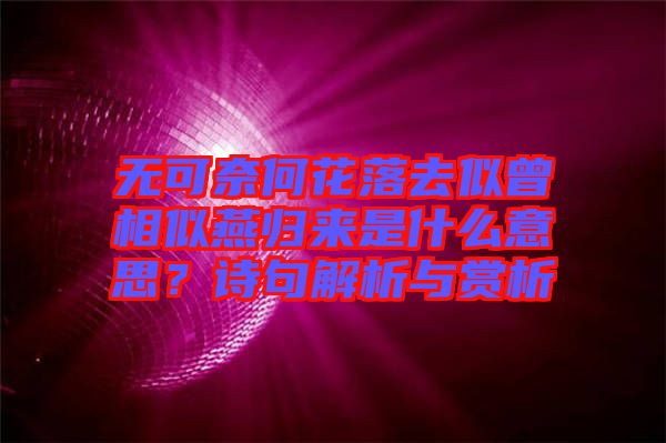 無可奈何花落去似曾相似燕歸來是什么意思？詩句解析與賞析