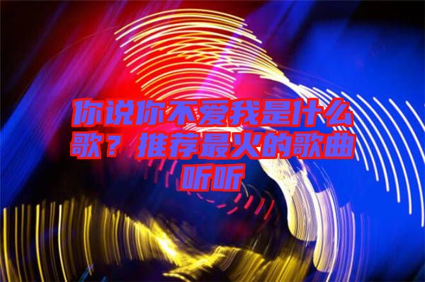 你說你不愛我是什么歌？推薦最火的歌曲聽聽
