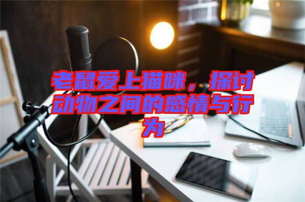 老鼠愛上貓咪，探討動(dòng)物之間的感情與行為