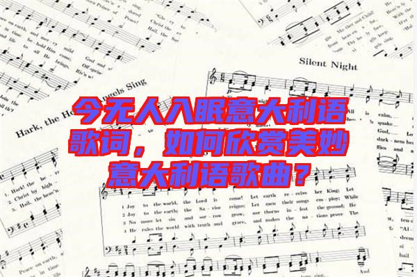 今無人入眠意大利語歌詞，如何欣賞美妙意大利語歌曲？