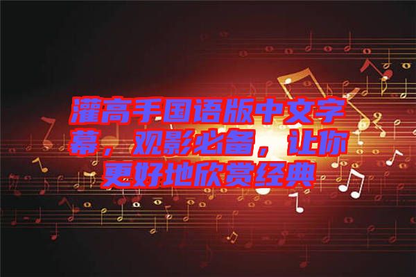 灌高手國語版中文字幕，觀影必備，讓你更好地欣賞經(jīng)典