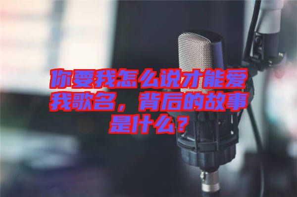 你要我怎么說才能愛我歌名，背后的故事是什么？