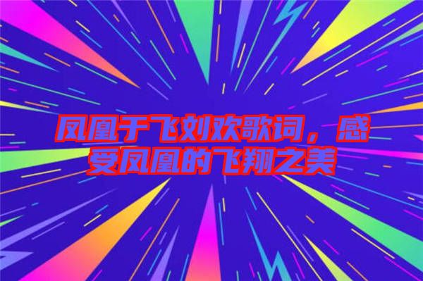 鳳凰于飛劉歡歌詞，感受鳳凰的飛翔之美