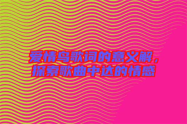 愛情鳥歌詞的意義解，探索歌曲中達(dá)的情感