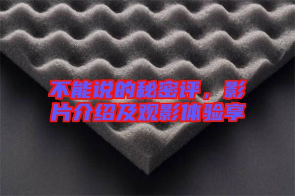 不能說的秘密評，影片介紹及觀影體驗享