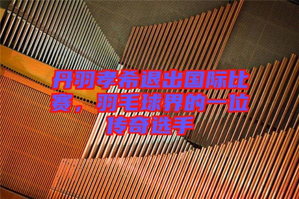 丹羽孝希退出國際比賽，羽毛球界的一位傳奇選手
