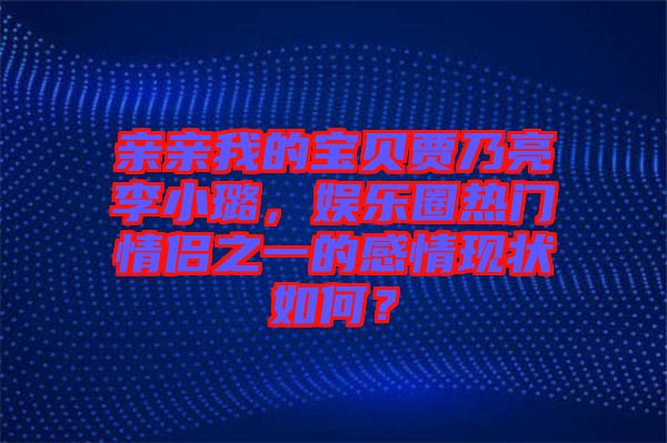親親我的寶貝賈乃亮李小璐，娛樂圈熱門情侶之一的感情現(xiàn)狀如何？