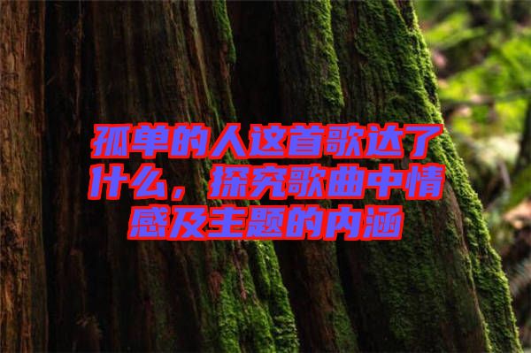 孤單的人這首歌達了什么，探究歌曲中情感及主題的內(nèi)涵